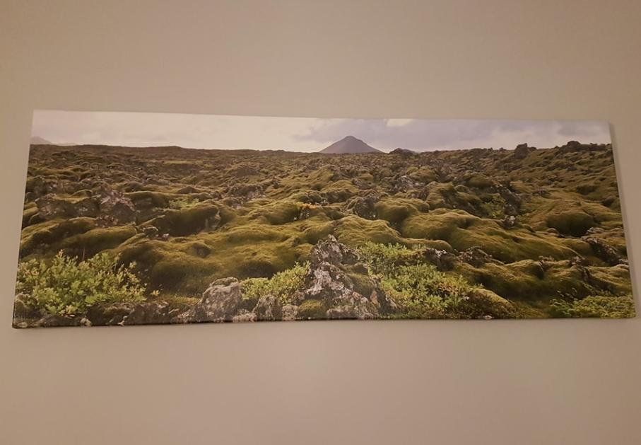 Ubak Guesthouse Reykjavík Zewnętrze zdjęcie